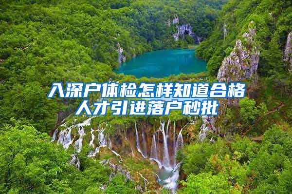 入深户体检怎样知道合格人才引进落户秒批