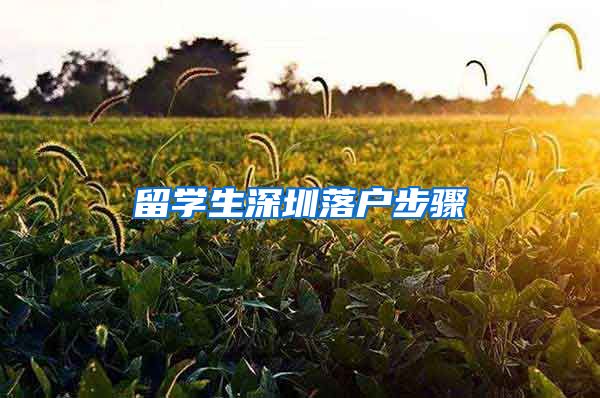 留学生深圳落户步骤