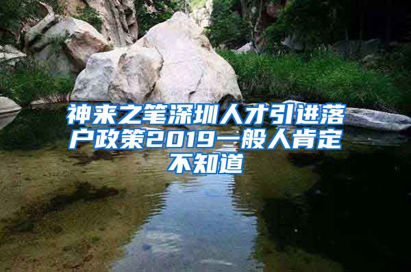 神来之笔深圳人才引进落户政策2019一般人肯定不知道