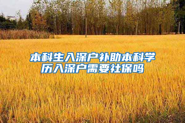 本科生入深户补助本科学历入深户需要社保吗
