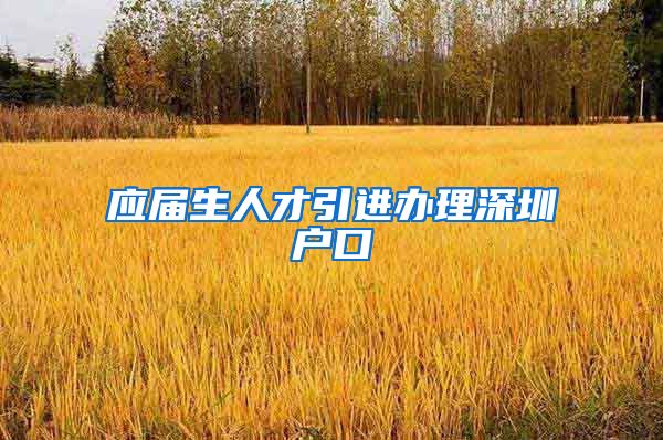 应届生人才引进办理深圳户口