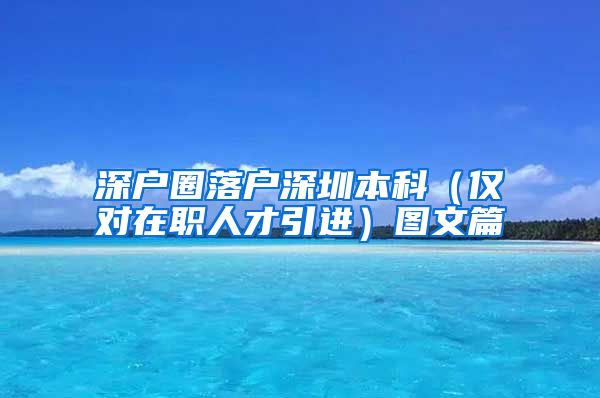 深户圈落户深圳本科（仅对在职人才引进）图文篇