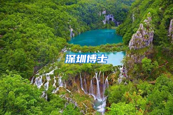 深圳博士