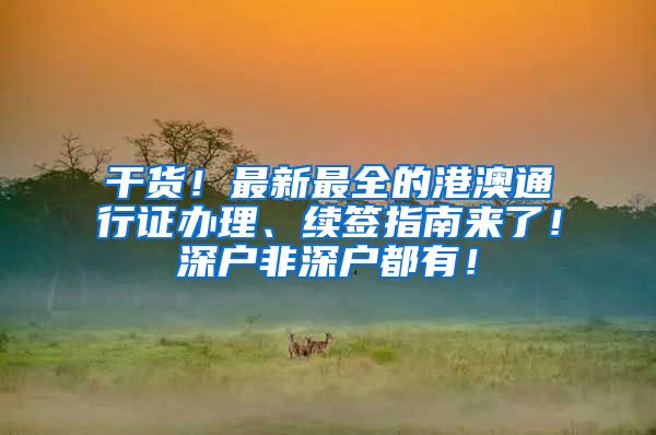 干货！最新最全的港澳通行证办理、续签指南来了！深户非深户都有！