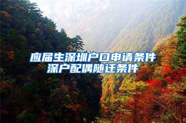 应届生深圳户口申请条件深户配偶随迁条件