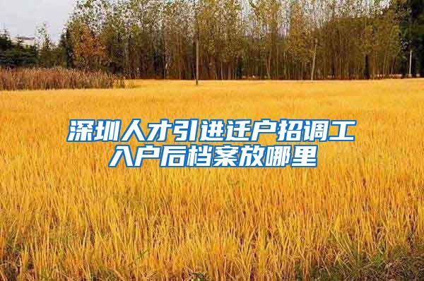 深圳人才引进迁户招调工入户后档案放哪里