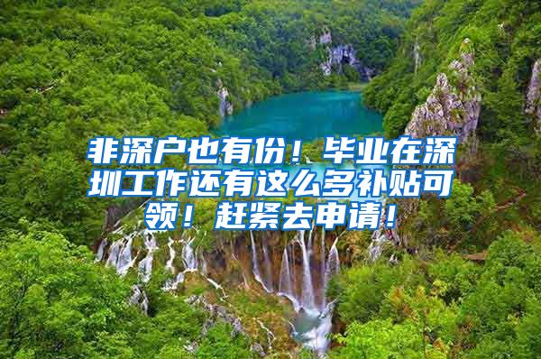 非深户也有份！毕业在深圳工作还有这么多补贴可领！赶紧去申请！