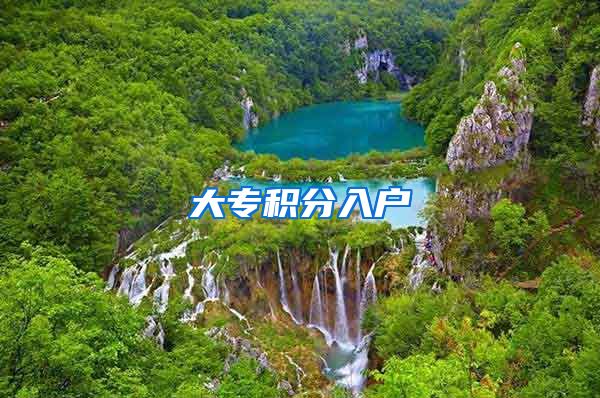 大专积分入户