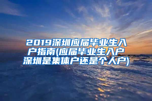 2019深圳应届毕业生入户指南(应届毕业生入户深圳是集体户还是个人户)