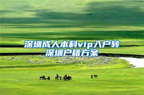 深圳成人本科vip入户转深圳户籍方案