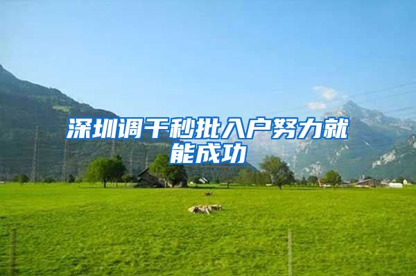 深圳调干秒批入户努力就能成功