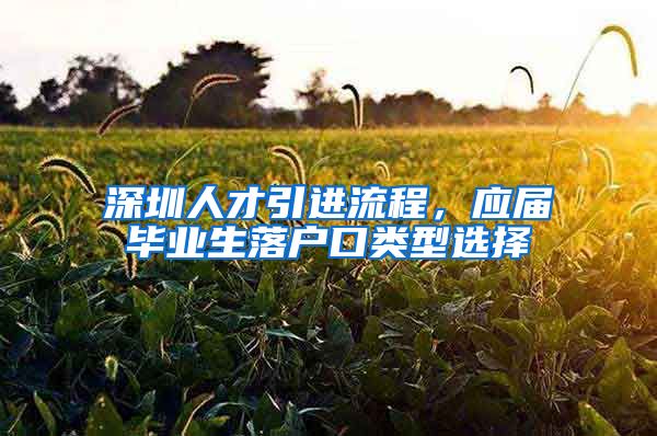 深圳人才引进流程，应届毕业生落户口类型选择
