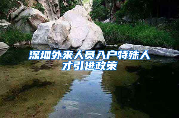 深圳外来人员入户特殊人才引进政策