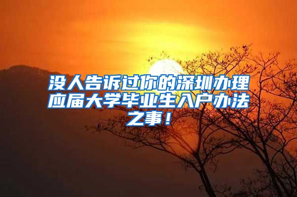 没人告诉过你的深圳办理应届大学毕业生入户办法之事！