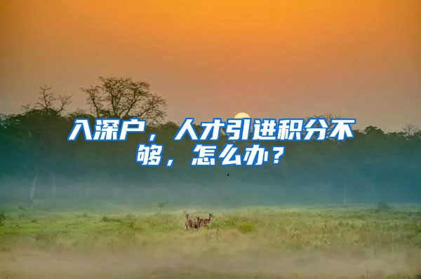 入深户，人才引进积分不够，怎么办？
