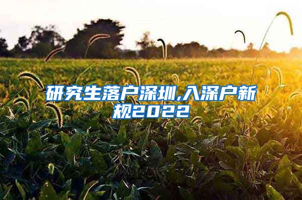 研究生落户深圳,入深户新规2022