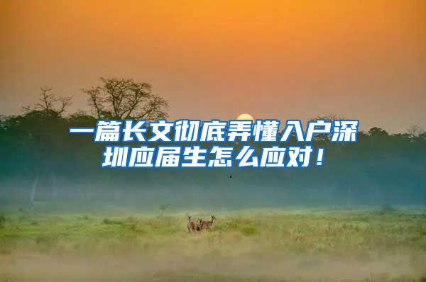 一篇长文彻底弄懂入户深圳应届生怎么应对！