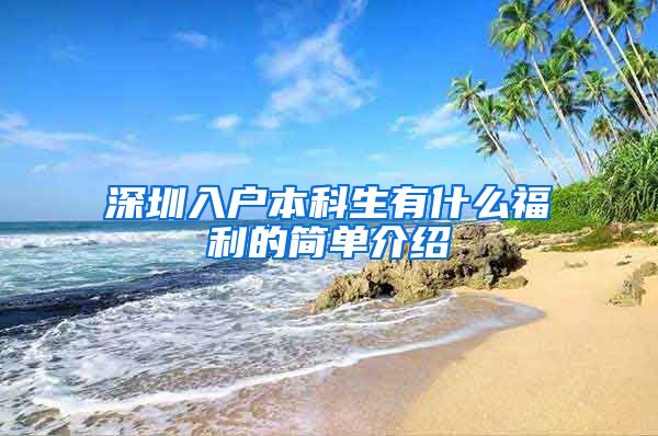 深圳入户本科生有什么福利的简单介绍
