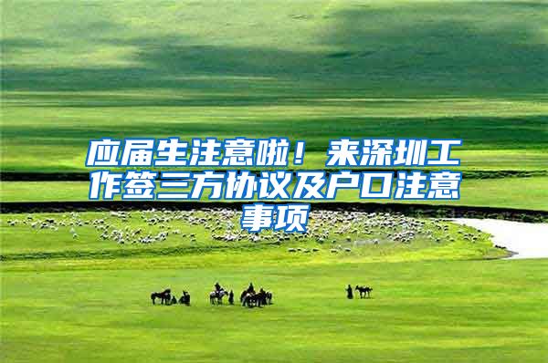 应届生注意啦！来深圳工作签三方协议及户口注意事项
