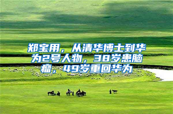 郑宝用，从清华博士到华为2号人物，38岁患脑瘤，49岁重回华为