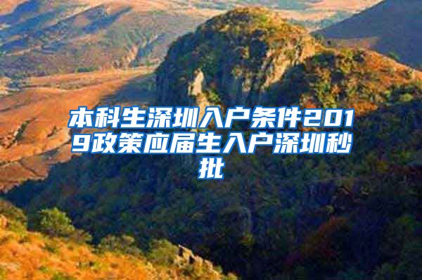 本科生深圳入户条件2019政策应届生入户深圳秒批
