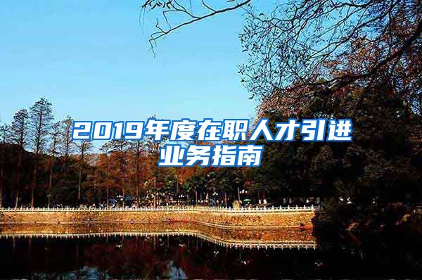 2019年度在职人才引进业务指南