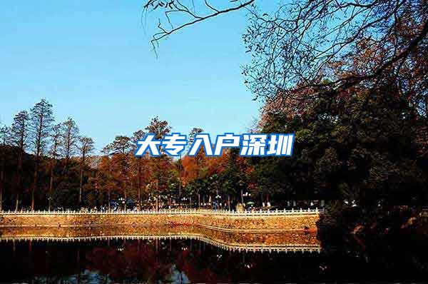 大专入户深圳