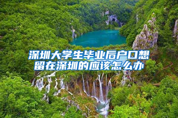 深圳大学生毕业后户口想留在深圳的应该怎么办