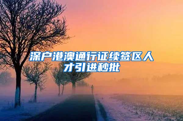 深户港澳通行证续签区人才引进秒批