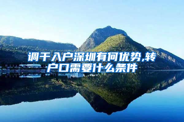 调干入户深圳有何优势,转户口需要什么条件