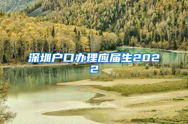 深圳户口办理应届生2022