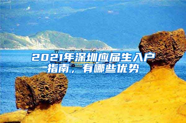 2021年深圳应届生入户指南，有哪些优势