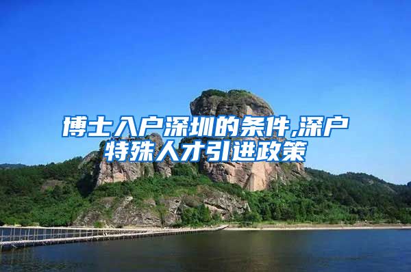 博士入户深圳的条件,深户特殊人才引进政策