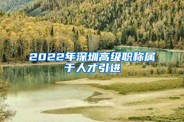 2022年深圳高级职称属于人才引进