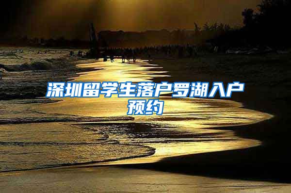 深圳留学生落户罗湖入户预约