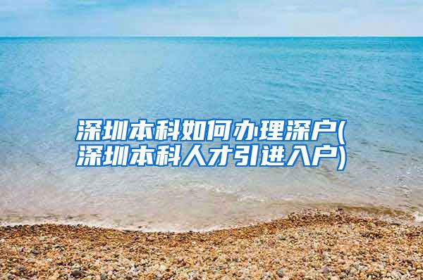 深圳本科如何办理深户(深圳本科人才引进入户)