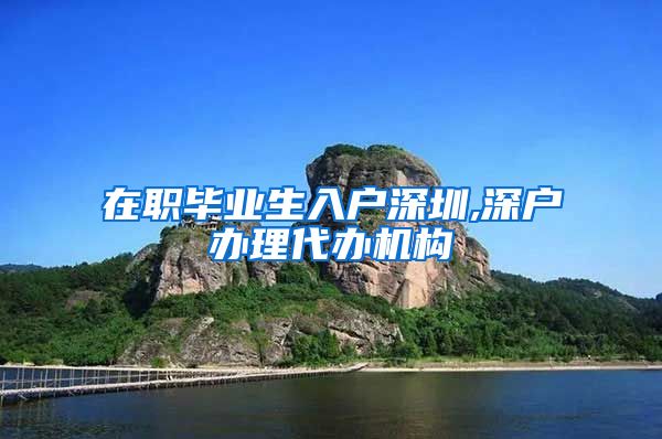 在职毕业生入户深圳,深户办理代办机构