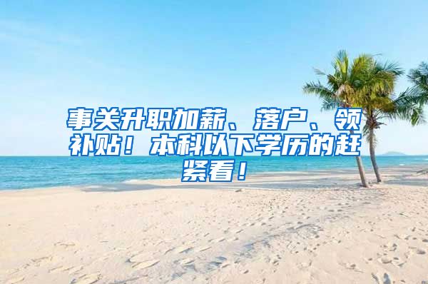 事关升职加薪、落户、领补贴！本科以下学历的赶紧看！