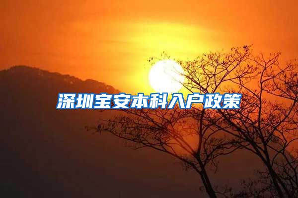 深圳宝安本科入户政策