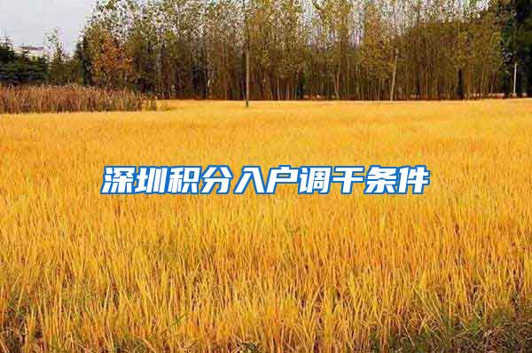 深圳积分入户调干条件