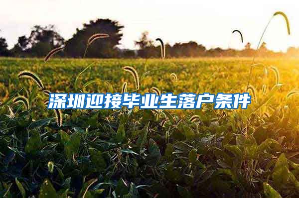 深圳迎接毕业生落户条件