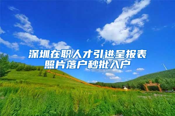 深圳在职人才引进呈报表照片落户秒批入户