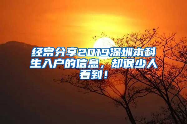 经常分享2019深圳本科生入户的信息，却很少人看到！