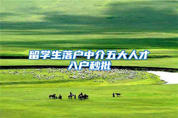 留学生落户中介五大人才入户秒批