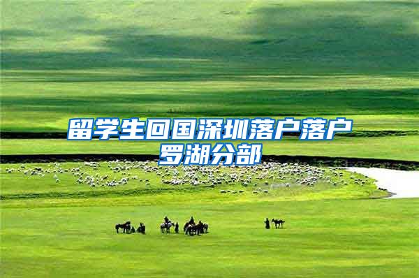 留学生回国深圳落户落户罗湖分部