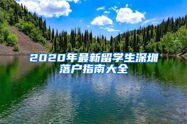 2020年最新留学生深圳落户指南大全