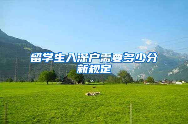 留学生入深户需要多少分新规定