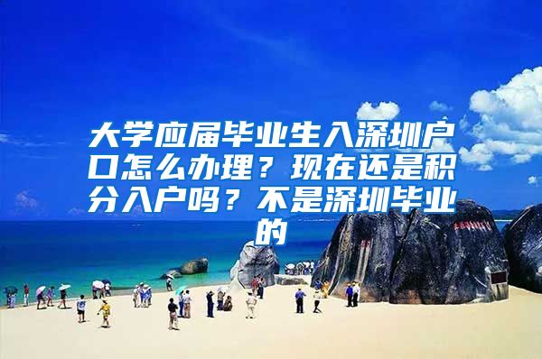 大学应届毕业生入深圳户口怎么办理？现在还是积分入户吗？不是深圳毕业的