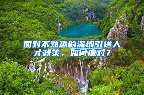 面对不熟悉的深圳引进人才政策，如何应对？