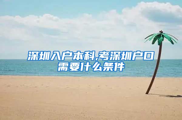 深圳入户本科,考深圳户口需要什么条件